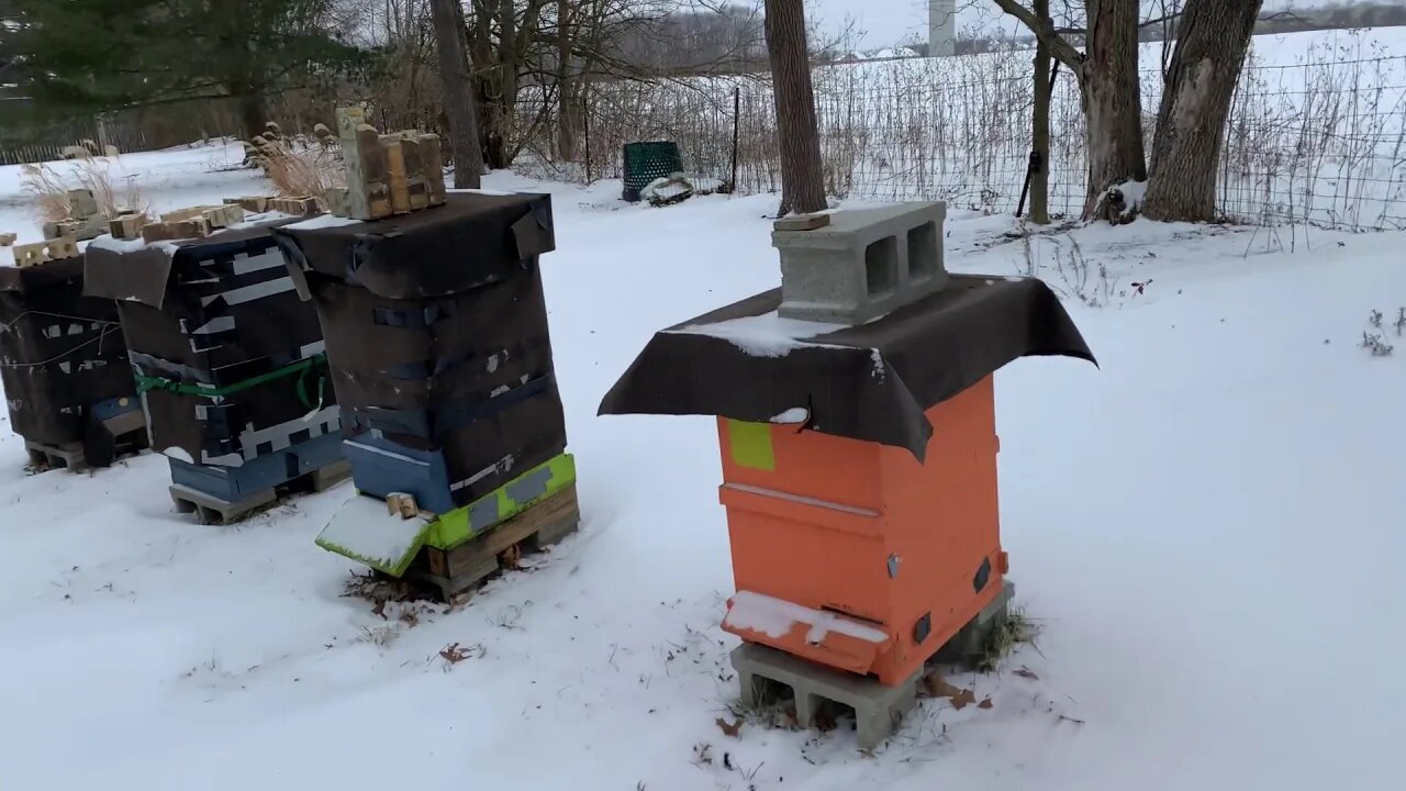 S4E1. 02/15/2021 - BEEKEEPING WITH URI