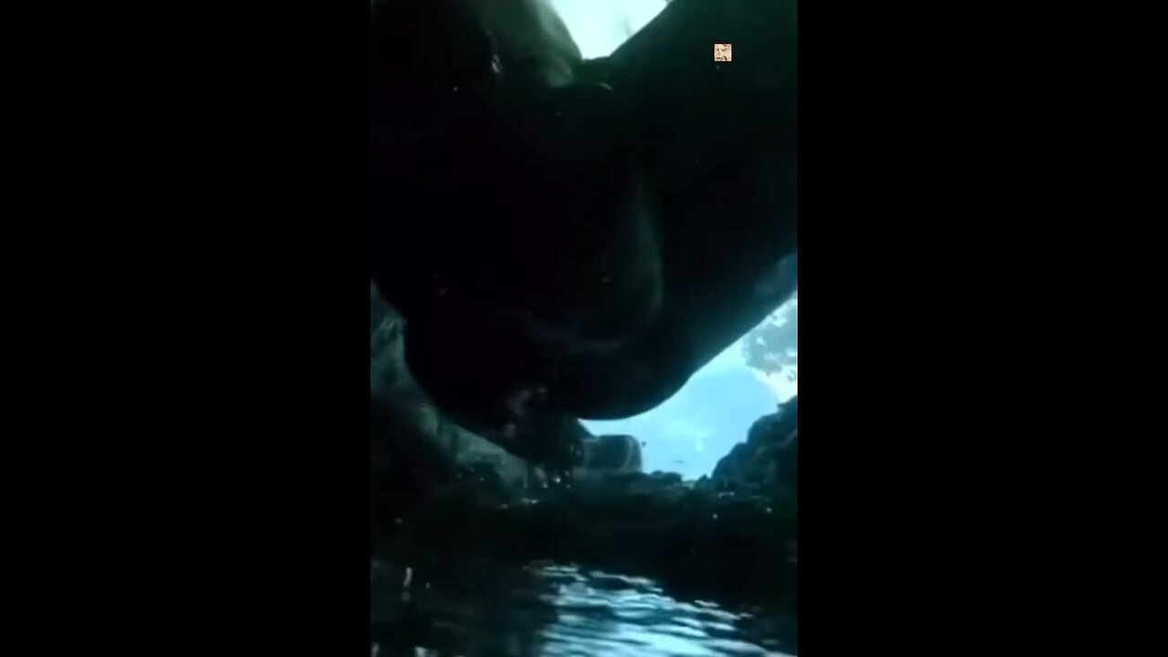 How many within