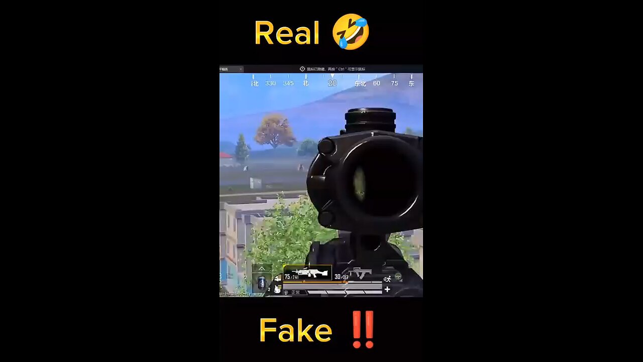 real or fake?