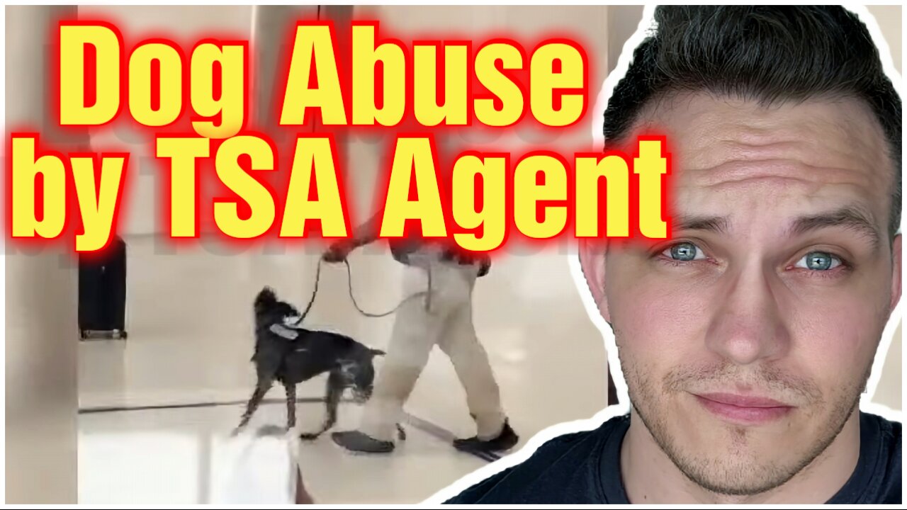 Dog Abused By TSA Agent?