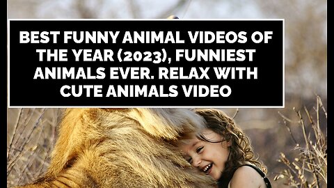 Best Funny Animal Videos of the year (2023), funniest animals ever. relax with cute animals video