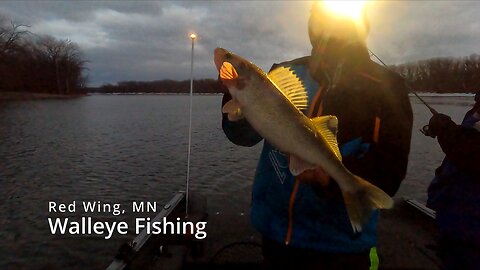 Walleye Fishing the Mississippi river Pool#4 (Red Wing, MN)