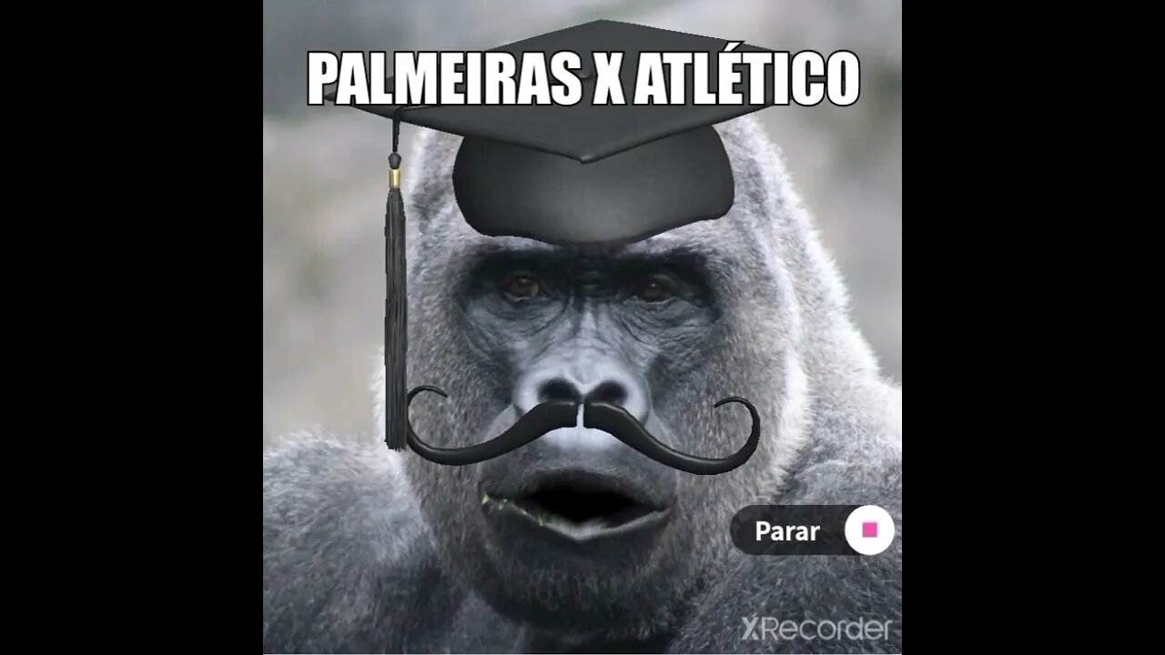 Palmeiras x Atlético mineiro