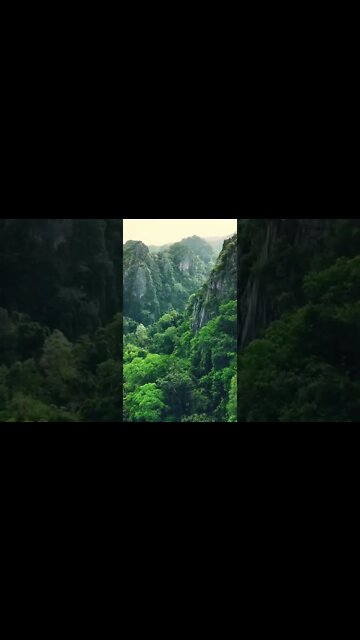 Beautiful sounds of nature for the soul.