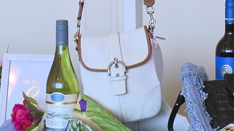 Designer purse auction benefits animals in SWFL