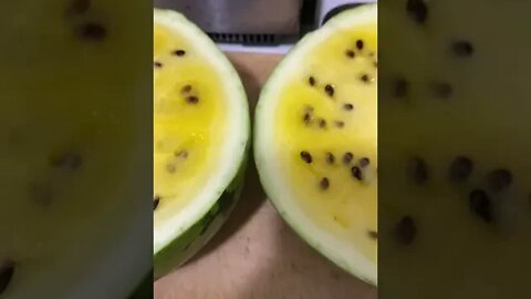 Best yellow watermelon homegrown