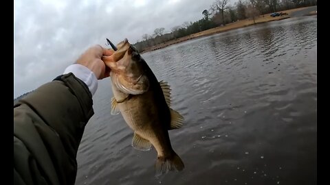 Winter Bass Fishing North Louisiana