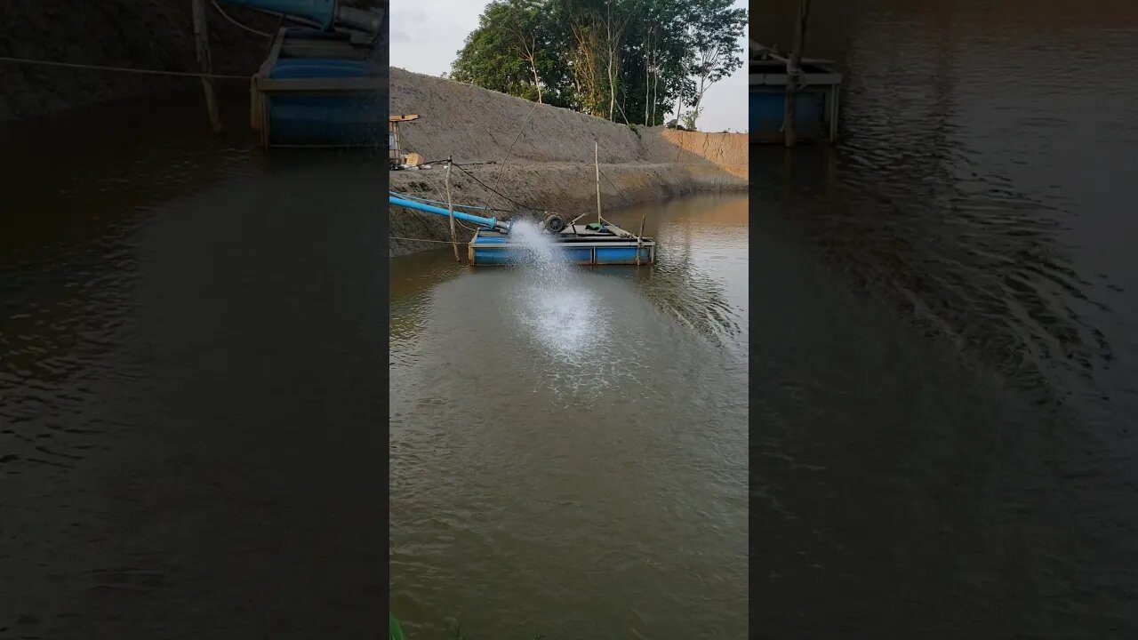 បង្កើតទឹកវិល & អុកស៊ីសែនអោយត្រី
