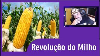 A Revolução do Milho