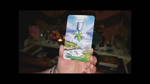 Leo WTF Tarot Reading 25 Apr - All the energy spent now coming back! Be kind to yourself!