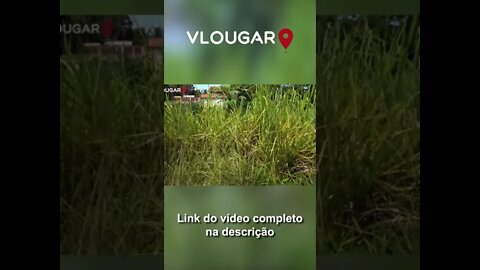 Situação de abandono na Ponte dos Jesuítas do Século XVIII - Santa Cruz RJ #shorts