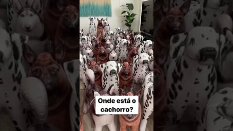 Proibido spoiler, comente se achou ou não!