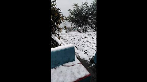 Snow fall at my hometown