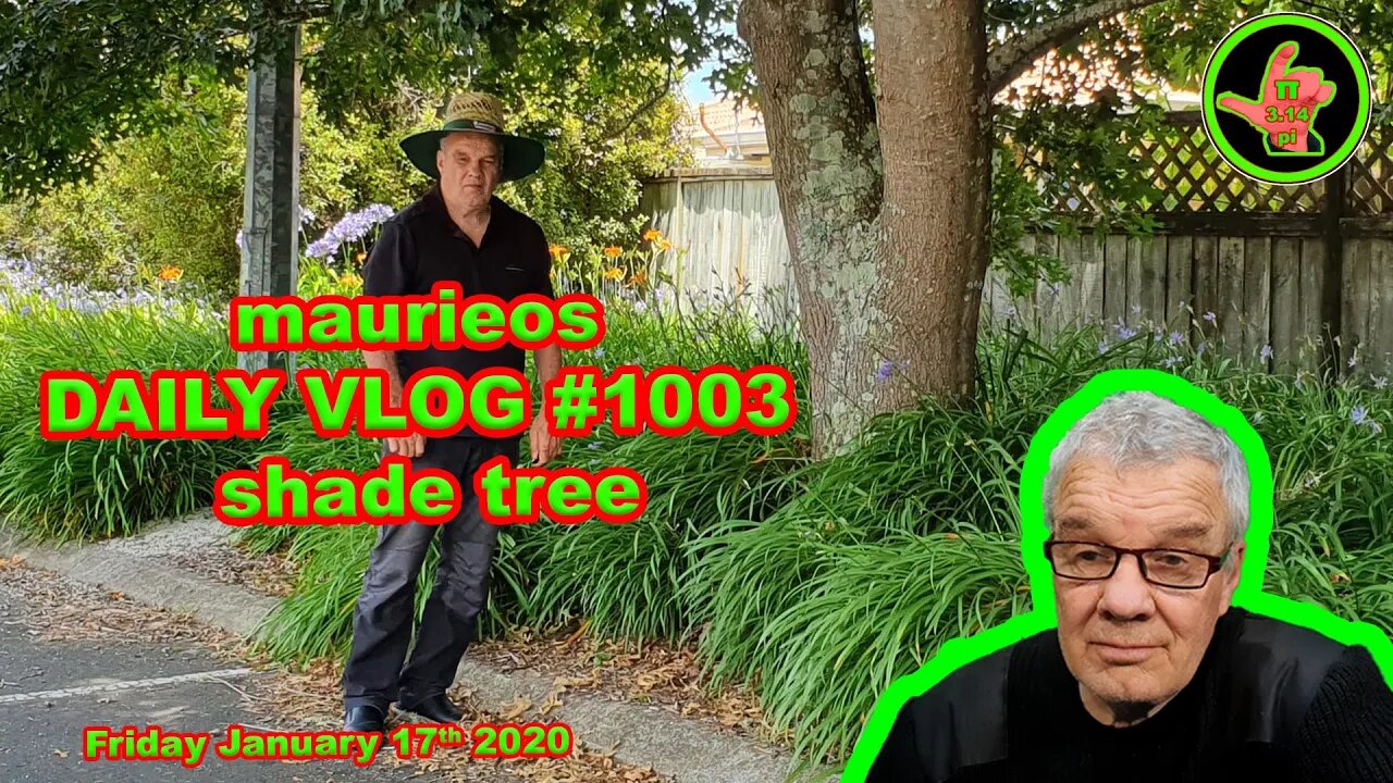 maurieos DAILY VLOG #1003 shade tree