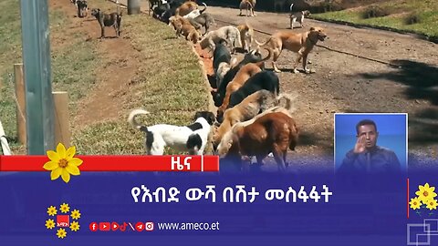 የእብድ ውሻ በሽታ መስፋፋት