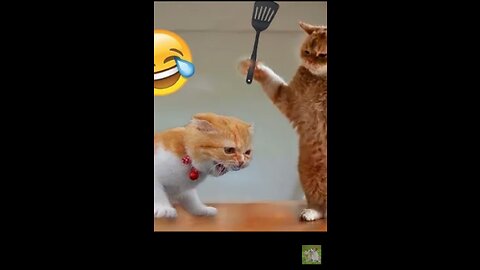 Best Funny Animal Videos of the year (2023), funniest animals ever. relax with cute animals video