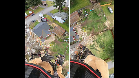 Safely taking down a tree starting from the top