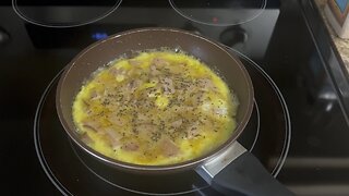 Ham & Eggs omlette came out ok today
