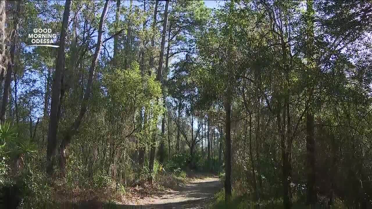 Hillsborough County's Lake Rogers Park offers peaceful walking path