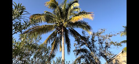 Experience Serenity: Terrace East, Lakewood Ranch Tour!