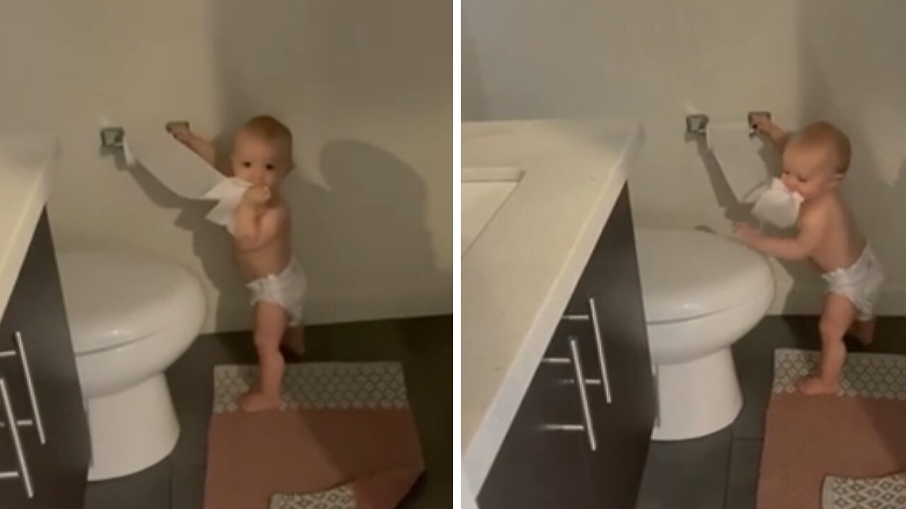 Baby Caught In The Act Of Unravelling The Toilet Paper