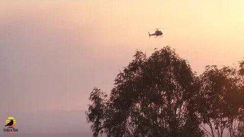 Bush Fires | Mt Archer 2019