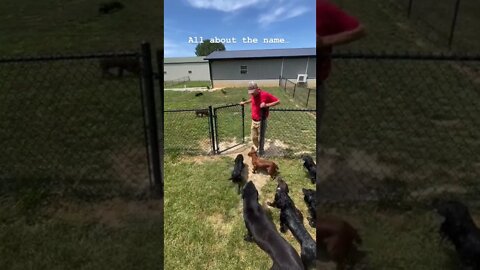 All about the name..