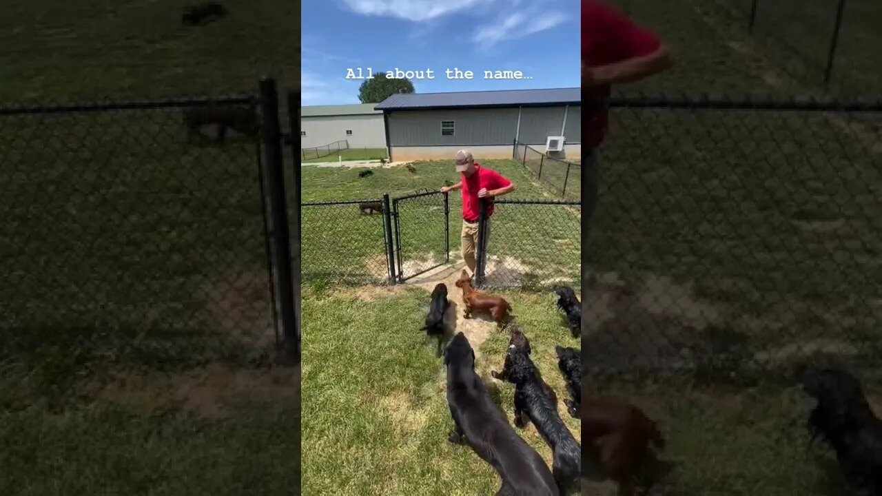 All about the name..