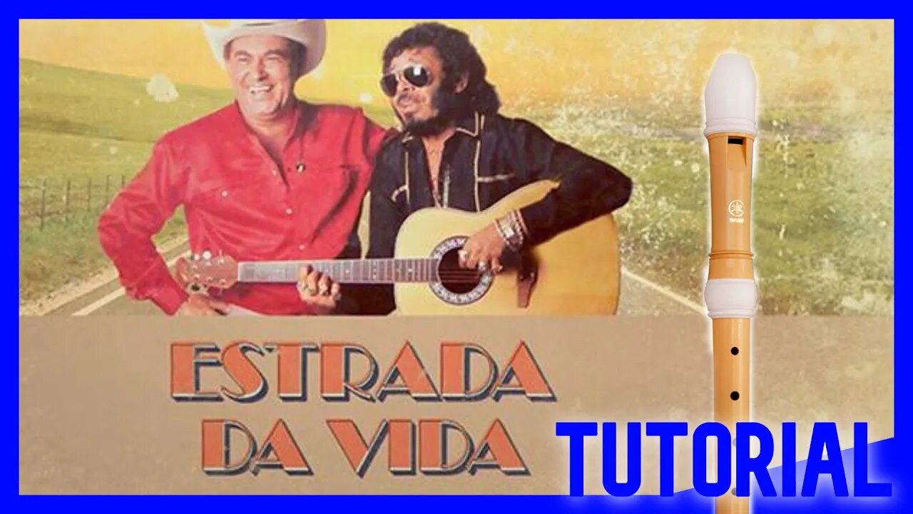 ESTRADA DA VIDA - MILIONÁRIO E JOSÉ RICO - Tutorial com notas na tela flauta doce