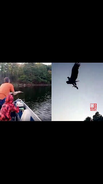 WOW! Eagle Snatches A Fish Out Of Midair From A Fisherman & His Son