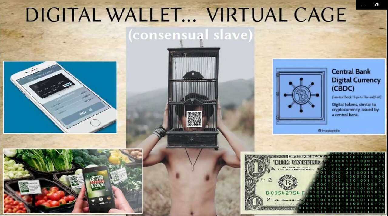 DIGITAL WALLET = VIRTUAL CAGE