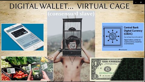 DIGITAL WALLET = VIRTUAL CAGE