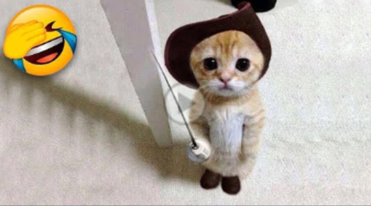 Funniest Cats and Dogs πΆπ± | Funny Animal Videos
