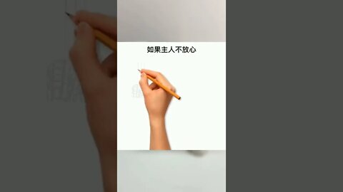 养猫家庭用84需要注意什么？#萌宠好物#养猫#猫咪#猫咪消毒#科普知识