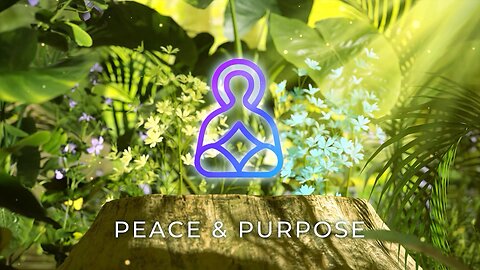 Peace & Purpose - Dorri McWhorter