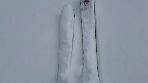 backcountry skiing in fresh snow ❄️