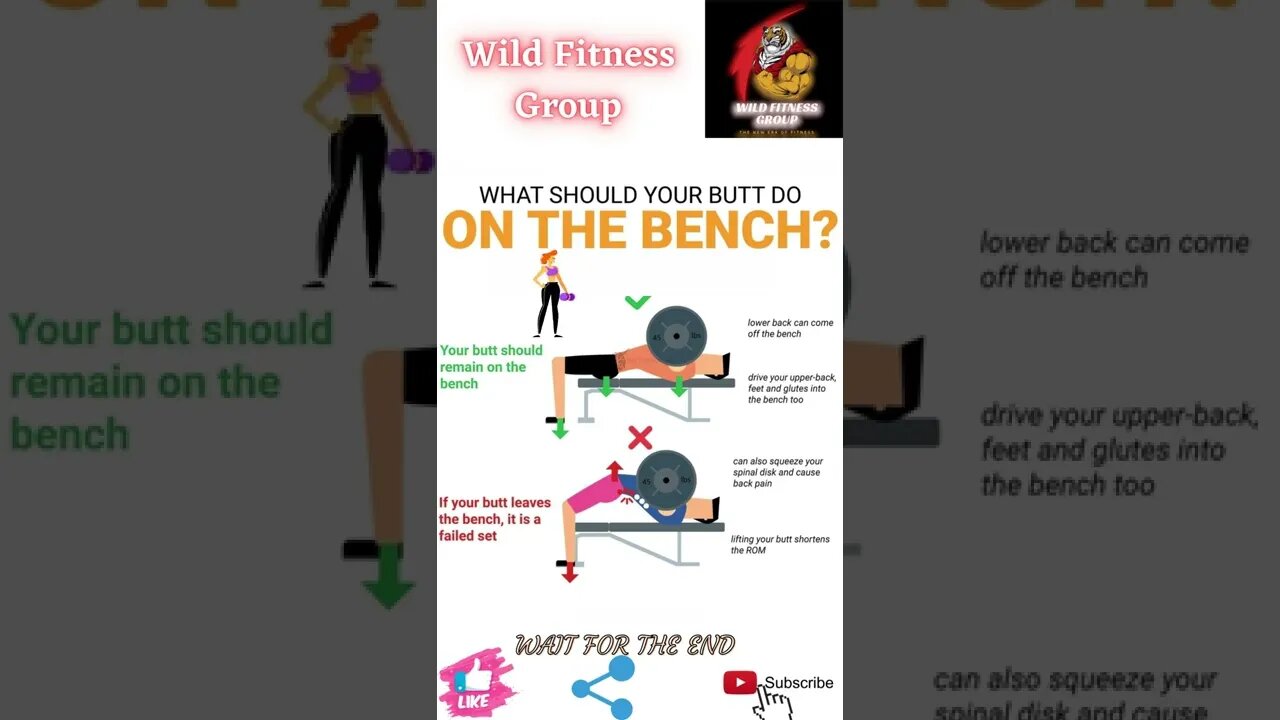 🔥What should your butt do on the bench🔥#shorts🔥#wildfitnessgroup🔥5 May 2022🔥