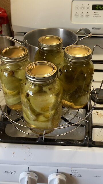 Pickled green tomatoes part 2