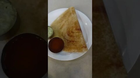 Dile nadan haye tuba #masaladosa #dhahipuri #trending #short #music