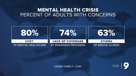 Adults speak on mental health concerns in the US