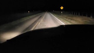 Night drive & Update on thing growing