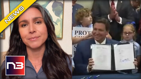 Tulsi Gabbard Flips On Dems Then Gives Nod To DeSantis And His Florida Law