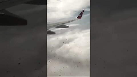 Timing Couldn't Have Been Worse