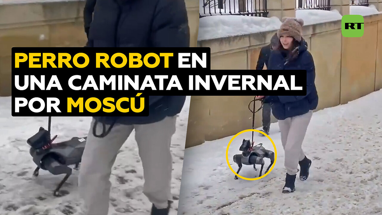 Perro robot ‘amiguito’ pasea por la nevada Moscú