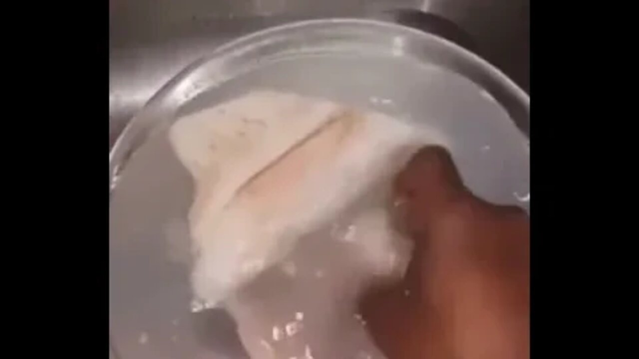 ۲۴ اوت ۲۰۲۲