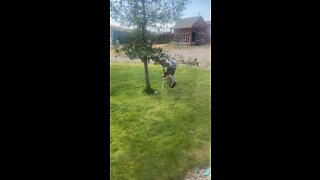 Grandpa teaches important life skill 😂