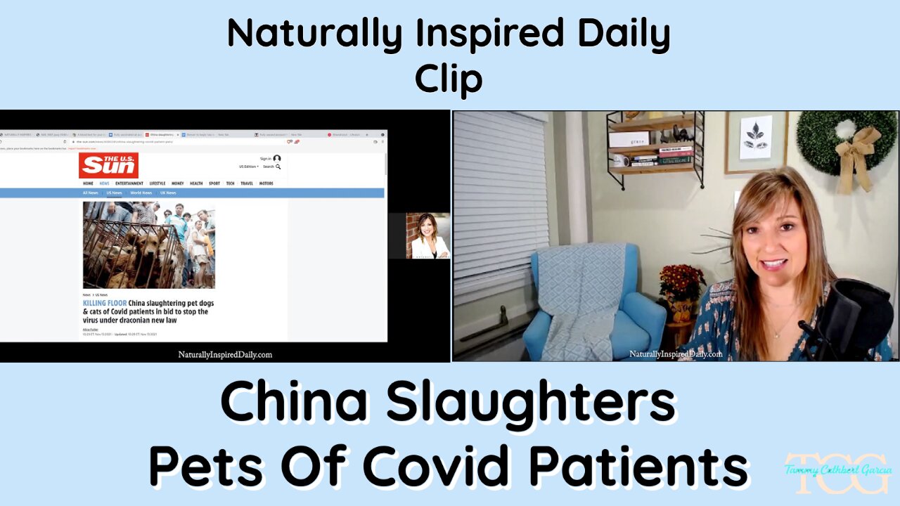 China Slaughters Pets Of Covid Patients