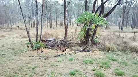 It's raining 9th November 2021