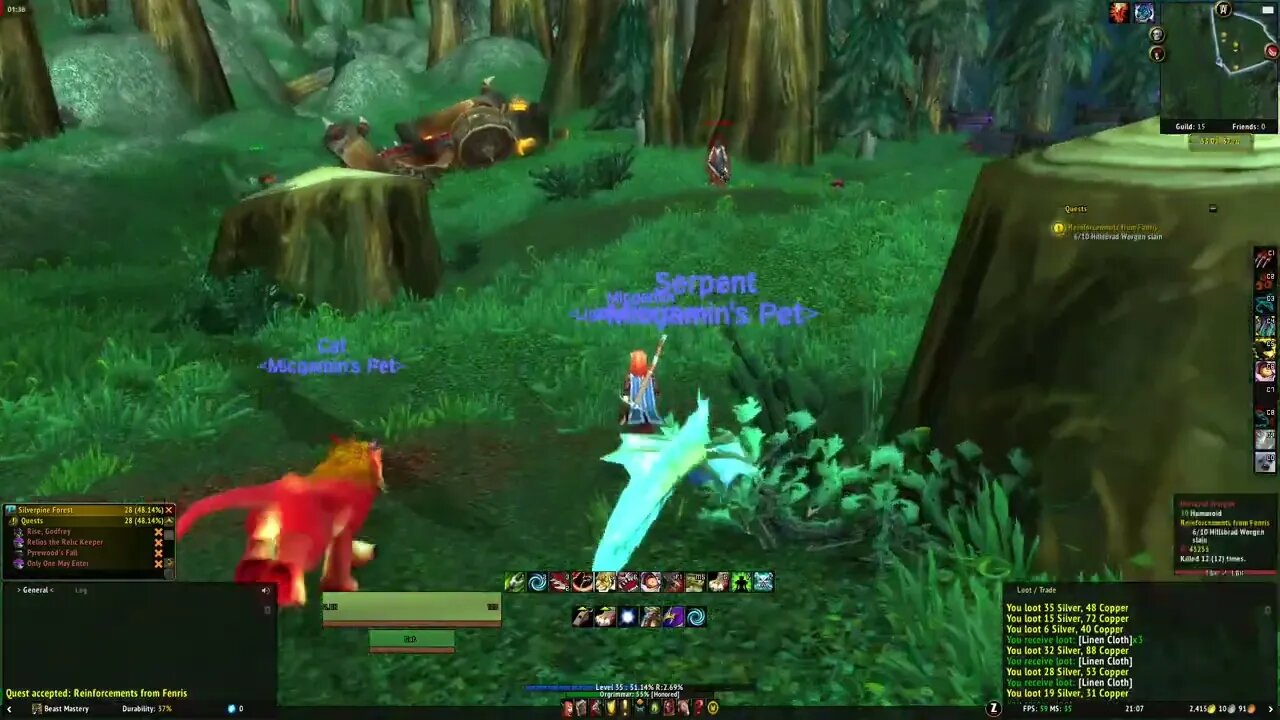 Reinforcements from Fenris WoW MMORPG Quest Guide