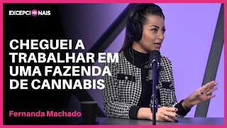 Quando decidi entrar no mundo de Startup | Fernanda Machado